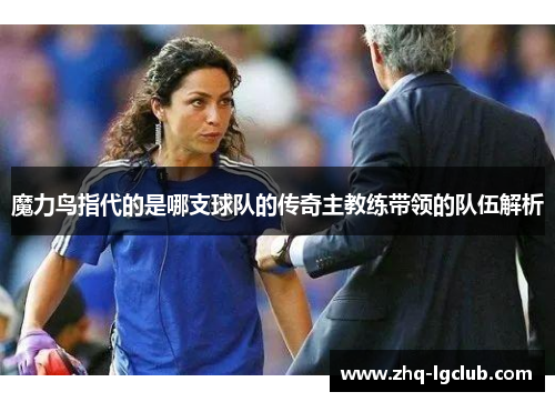 魔力鸟指代的是哪支球队的传奇主教练带领的队伍解析