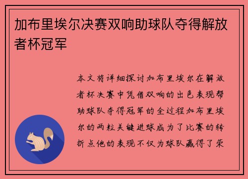 加布里埃尔决赛双响助球队夺得解放者杯冠军